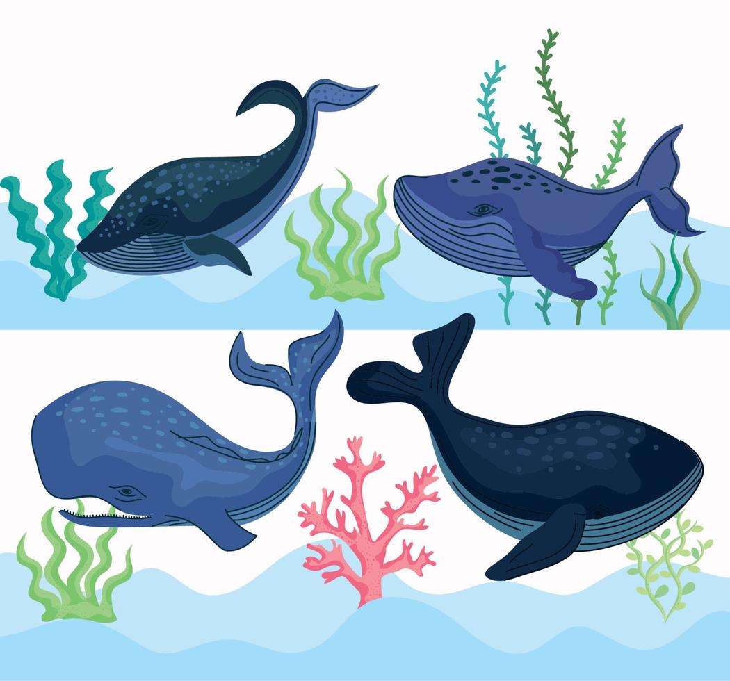 four whales undersea vector