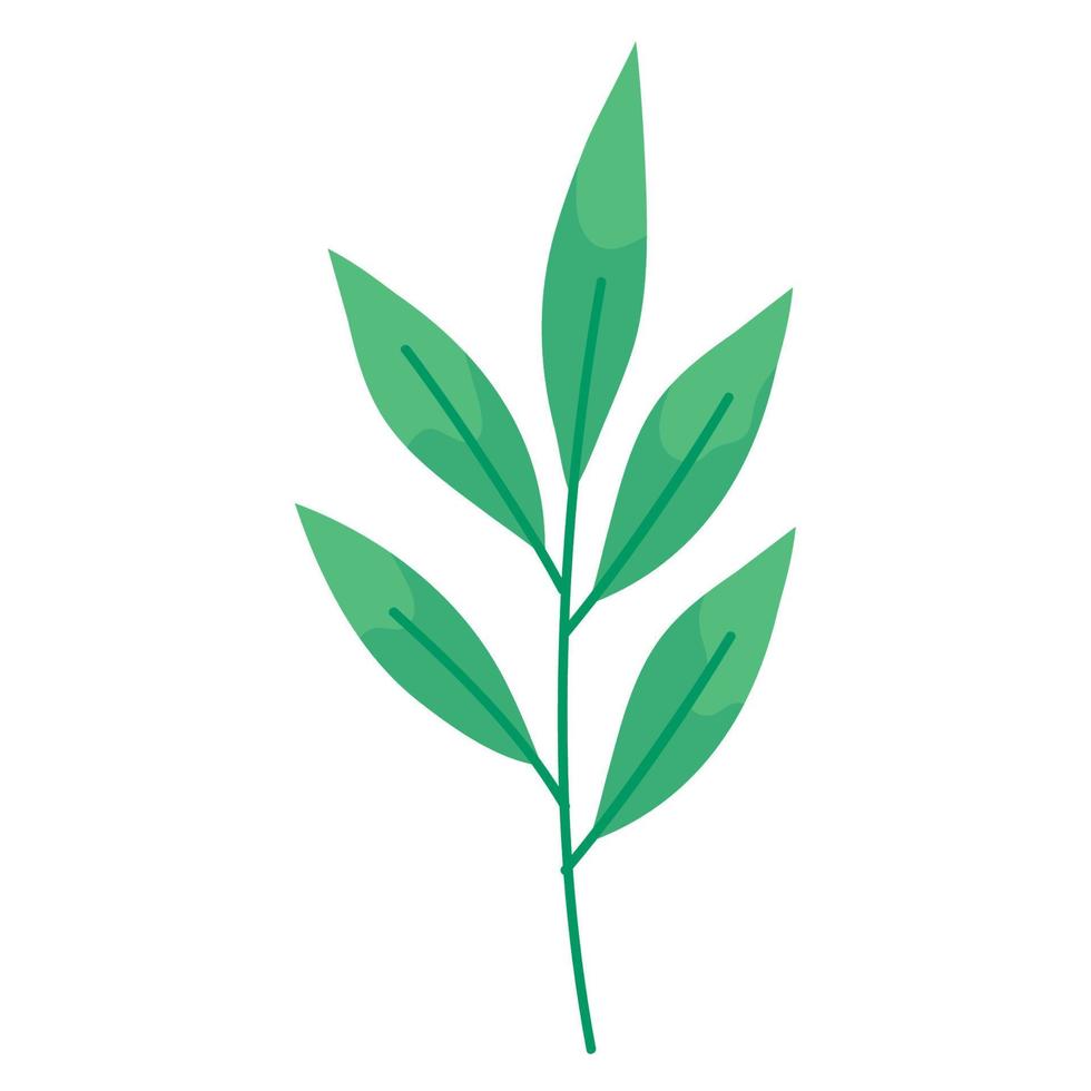 leaves branch plant foliage vector