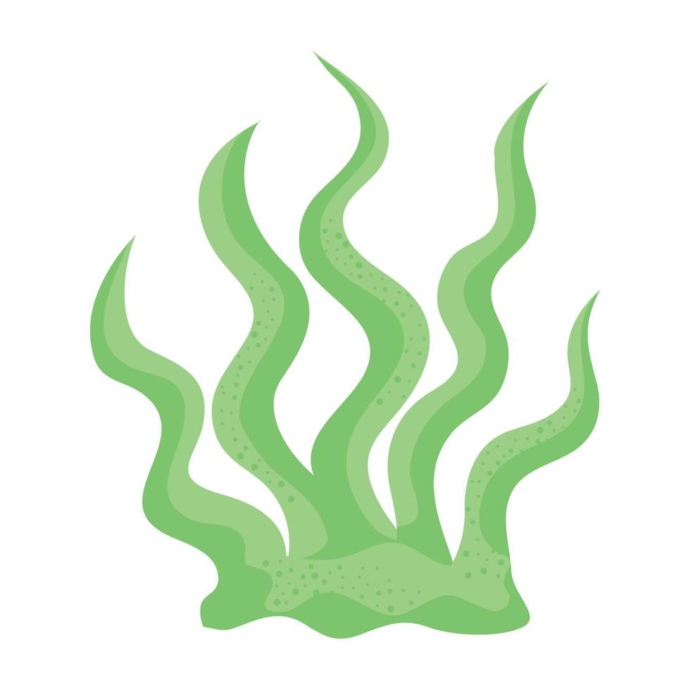 green marine seaweed nature vector