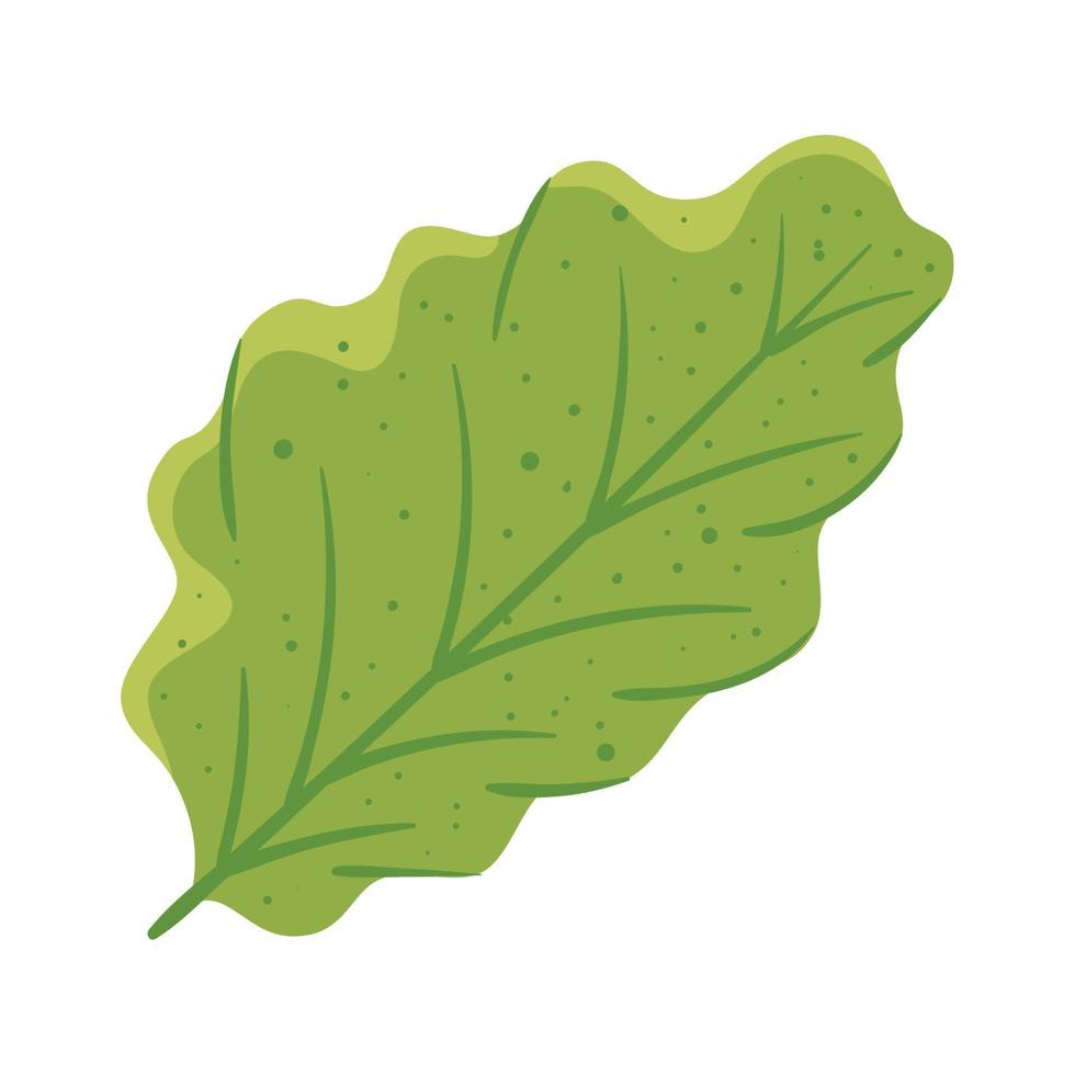 leaf plant foliage vector