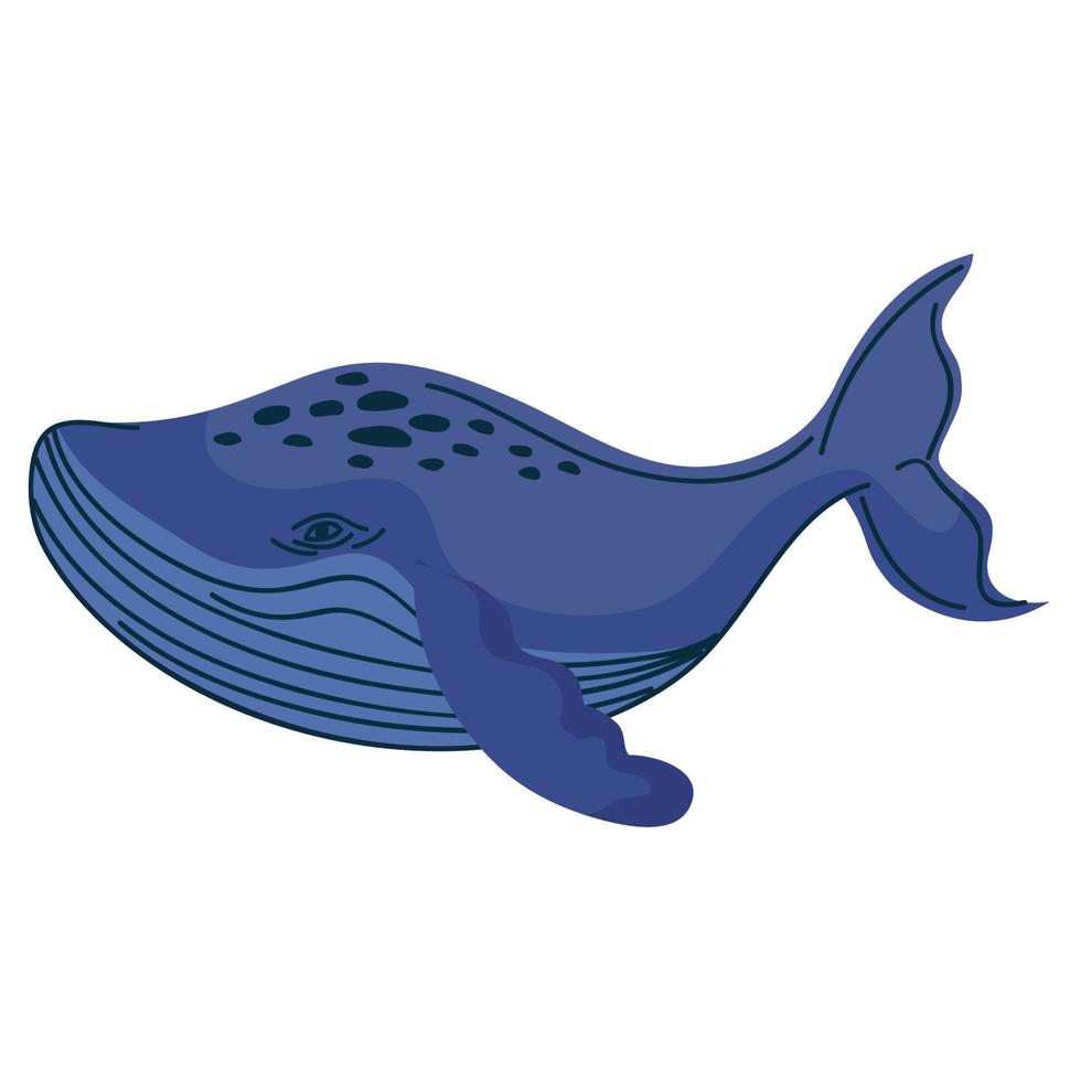 pez ballena salvaje nadando vector