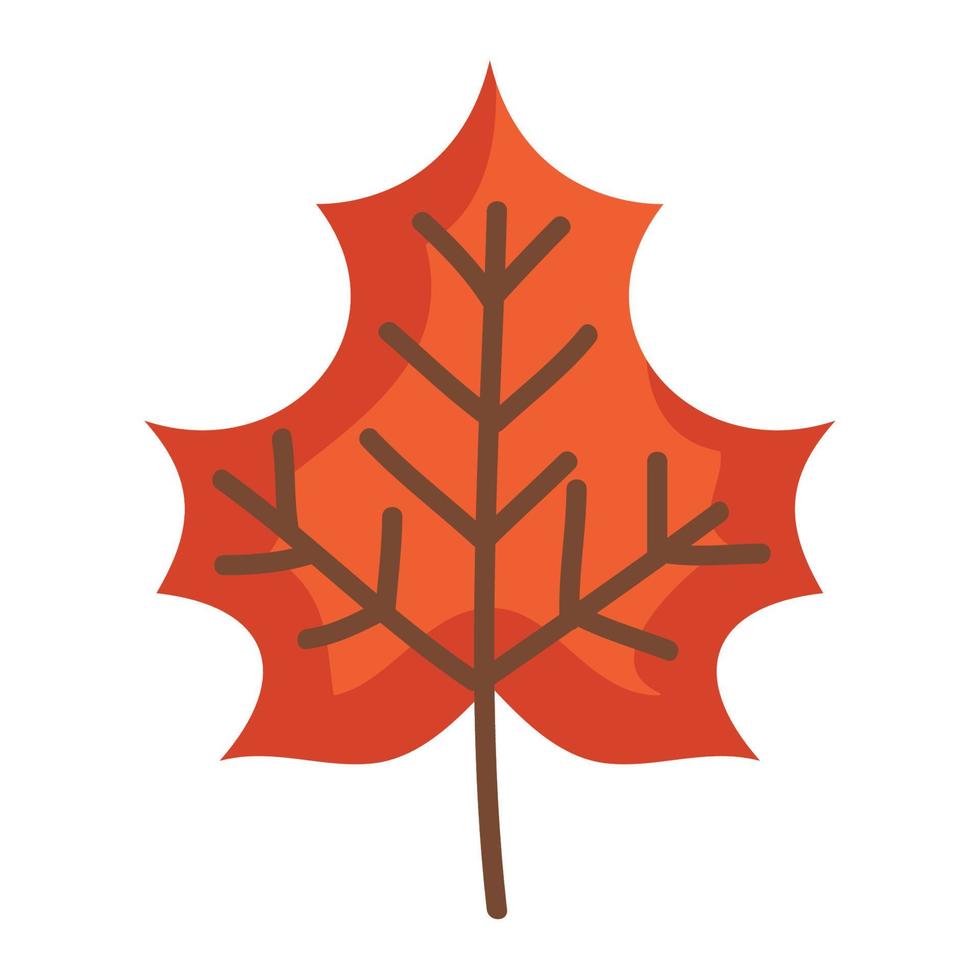 autumn mapple leaf vector