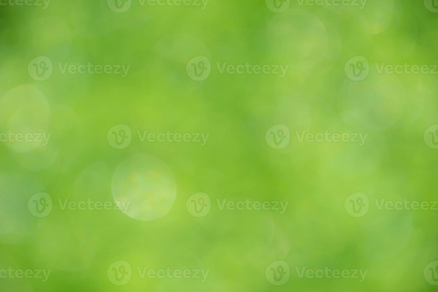 Nature view of green leaf on blurred greenery background in garden with copy space using as background natural green plants landscape, ecology, fresh wallpaper photo