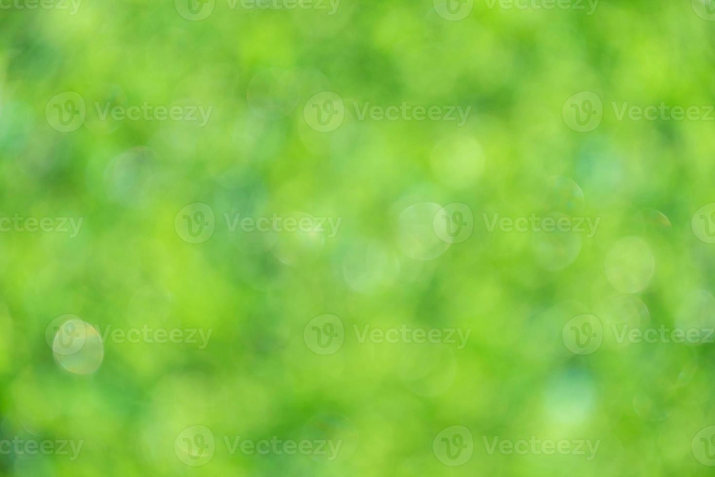 Nature view of green leaf on blurred greenery background in garden with copy space using as background natural green plants landscape, ecology, fresh wallpaper photo