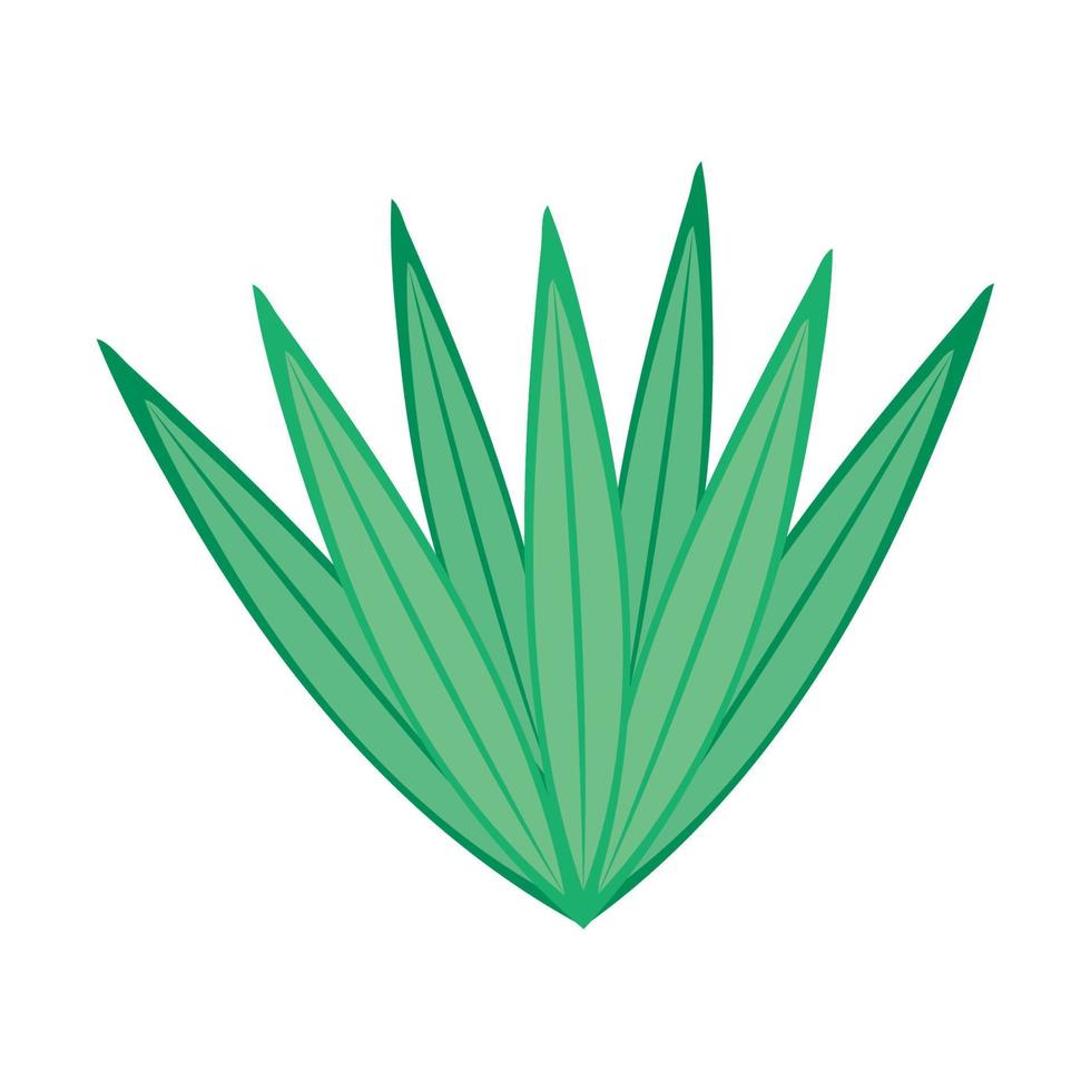 tropical leafs plant green vector