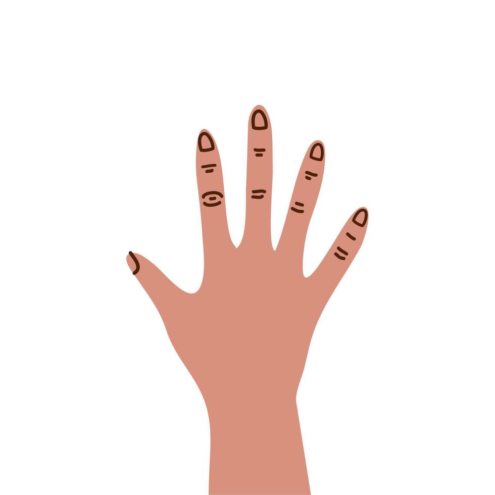 hand human open vector