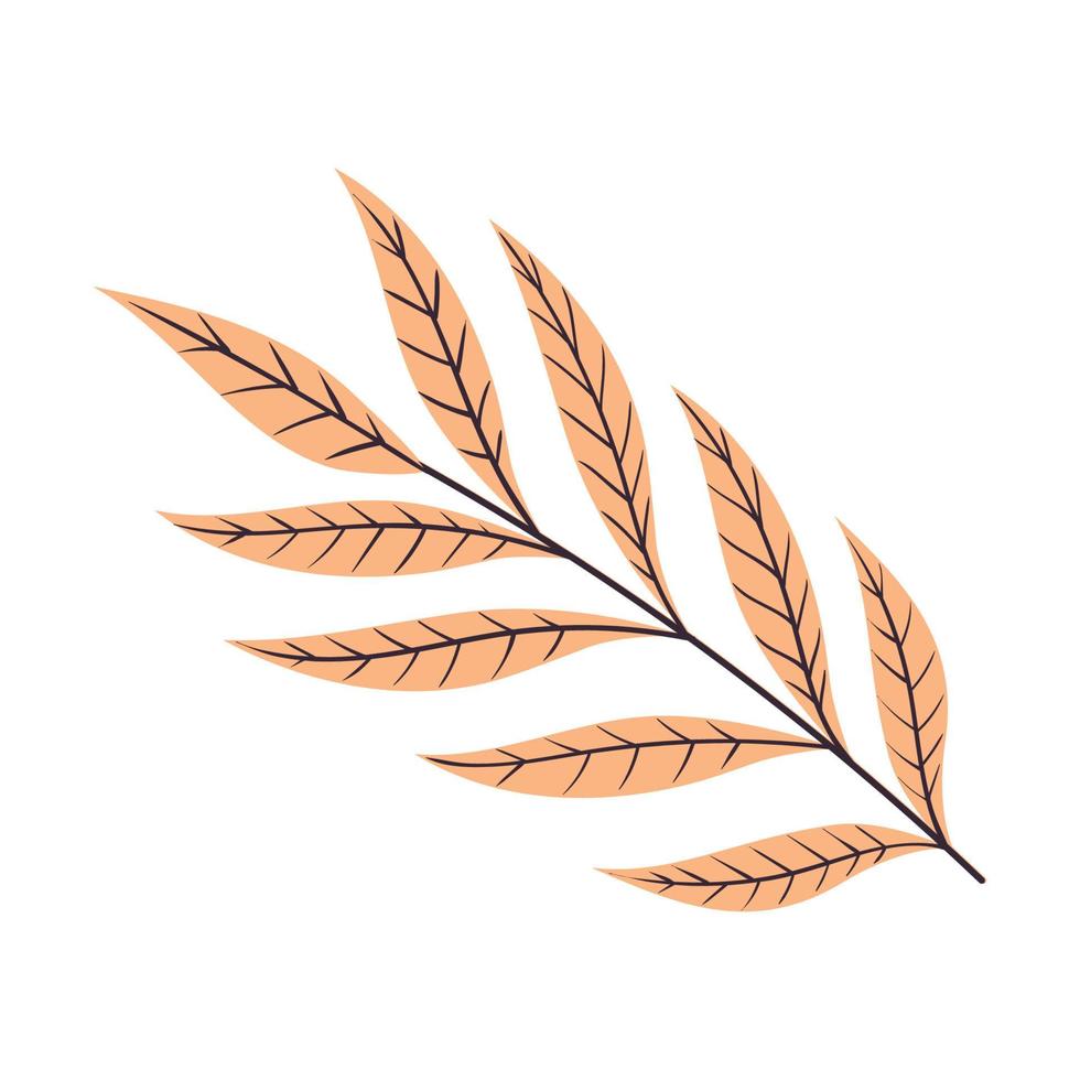 autumn leafs plants foliage vector