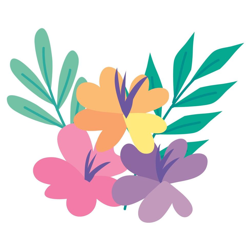flowers garden and leafs vector