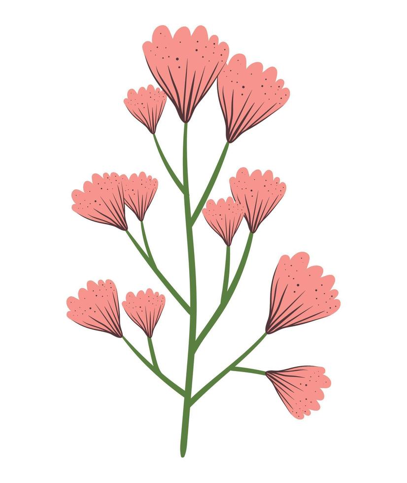 branch with pink flowers vector