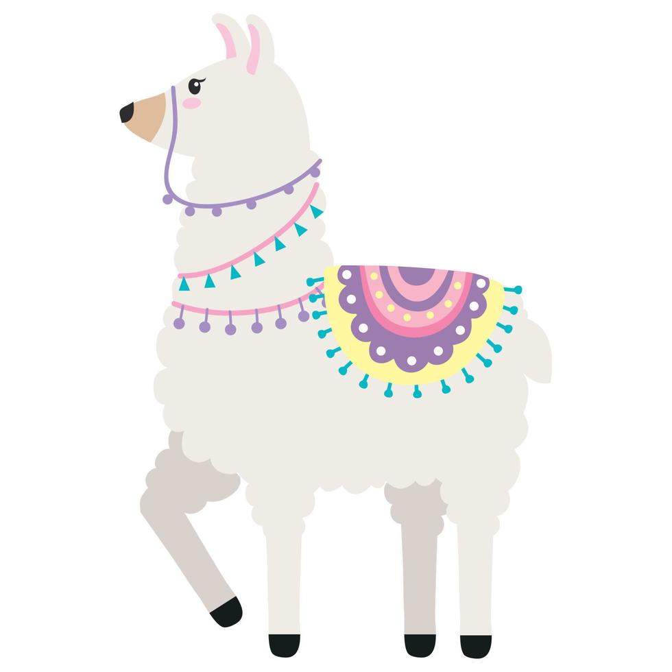 llama wild animal vector