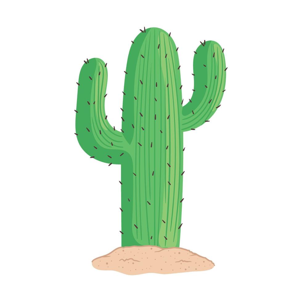 cactu plant nature icon vector