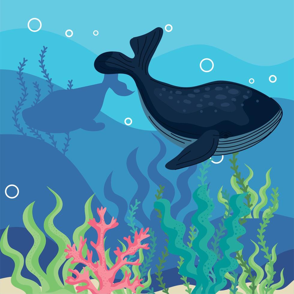ballenas animales submarinos vector