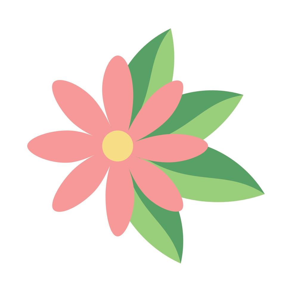 pink flower and leafs vector