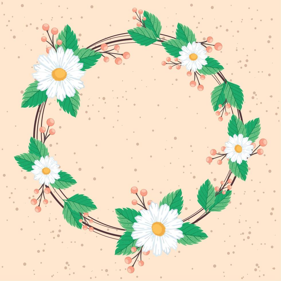 white flowers daisy crown vector