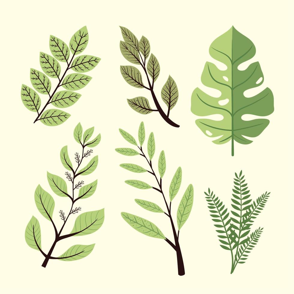 six branches with leafs vector