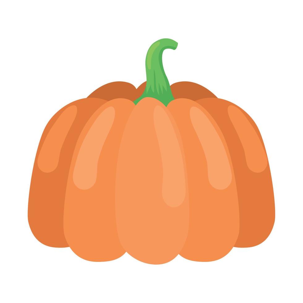 pumpkin fresh vegetable vector