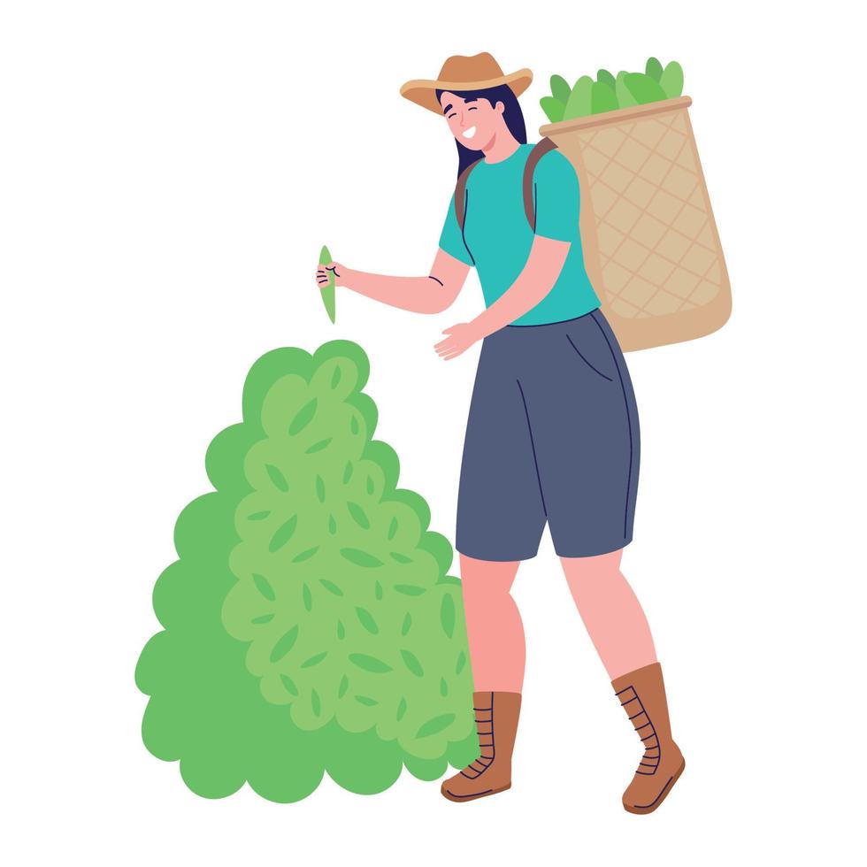 woman farmer working vector