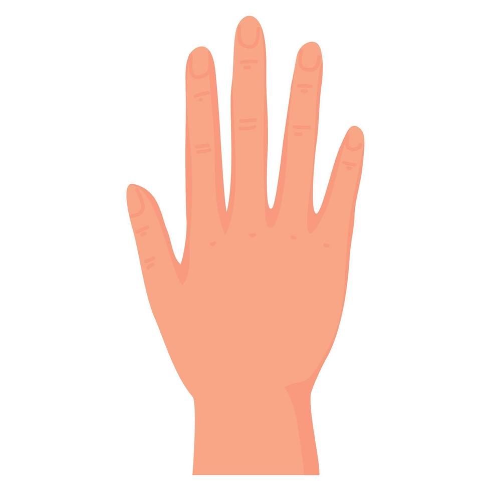 hand human stop vector