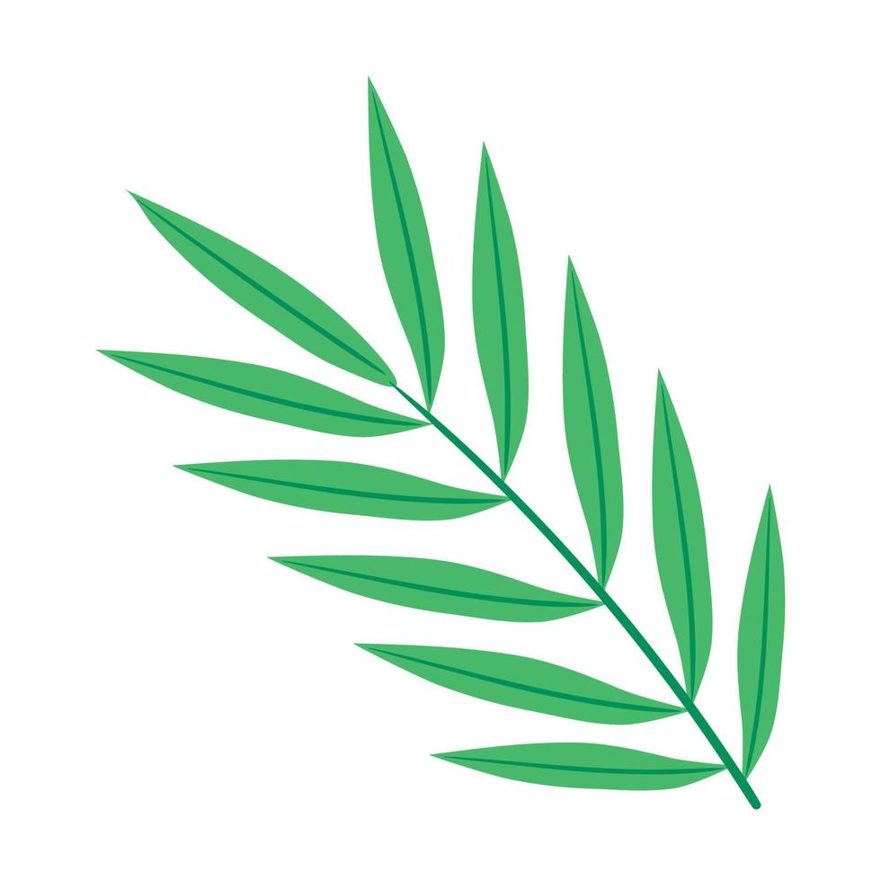 tropical branch with leafs vector