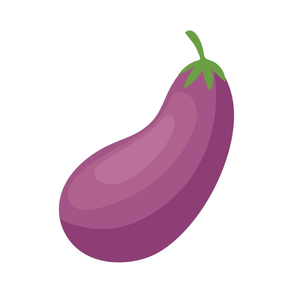 fresh eggplant vegetable vector