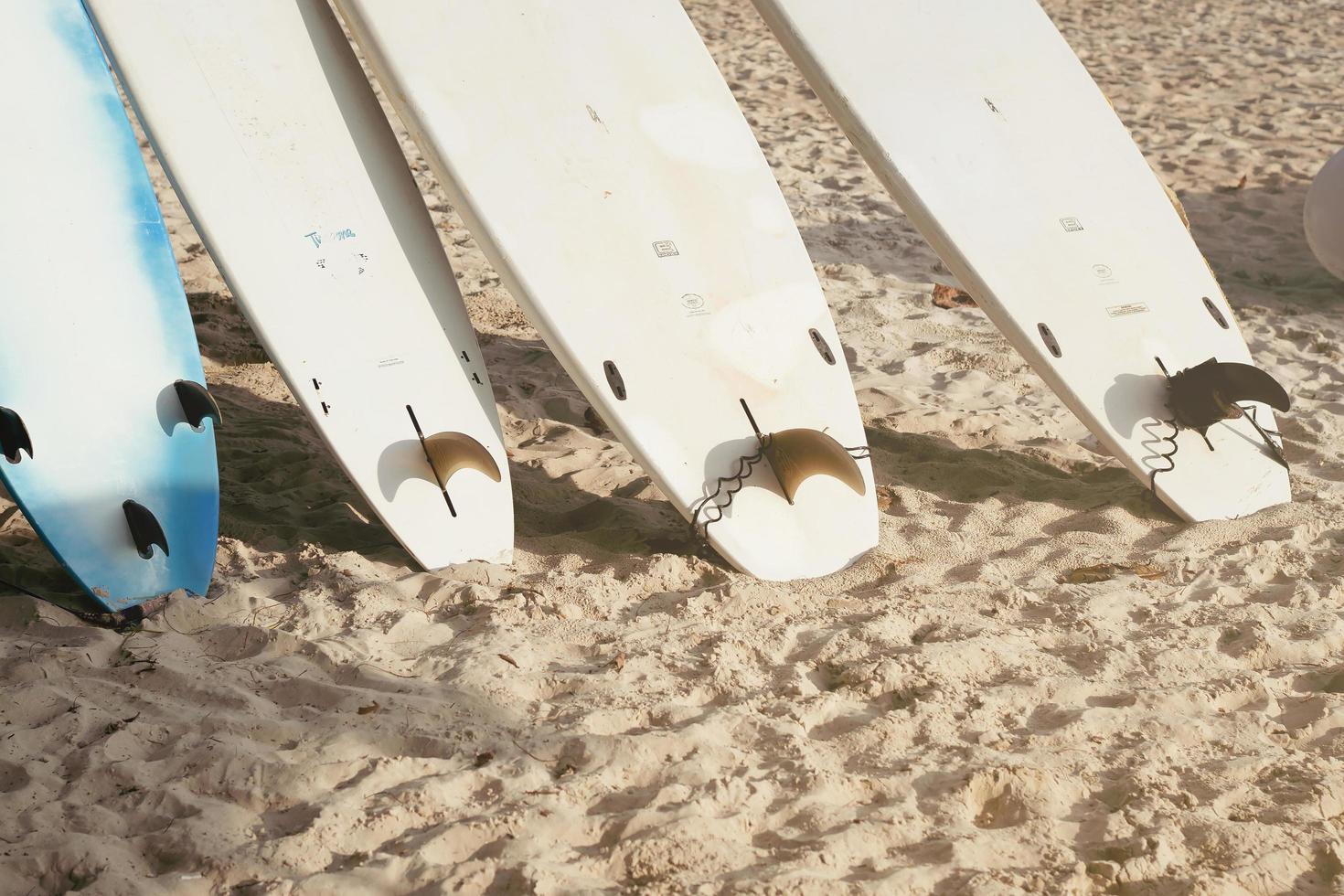 Surfboards setting up on sand beach during sunset summer sports day photo
