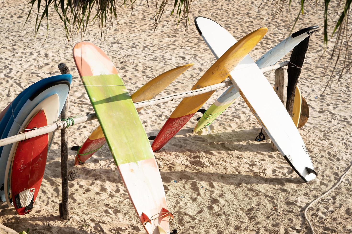 Surfboards palm tree on beach summer holiday Sunny,Close-up. photo