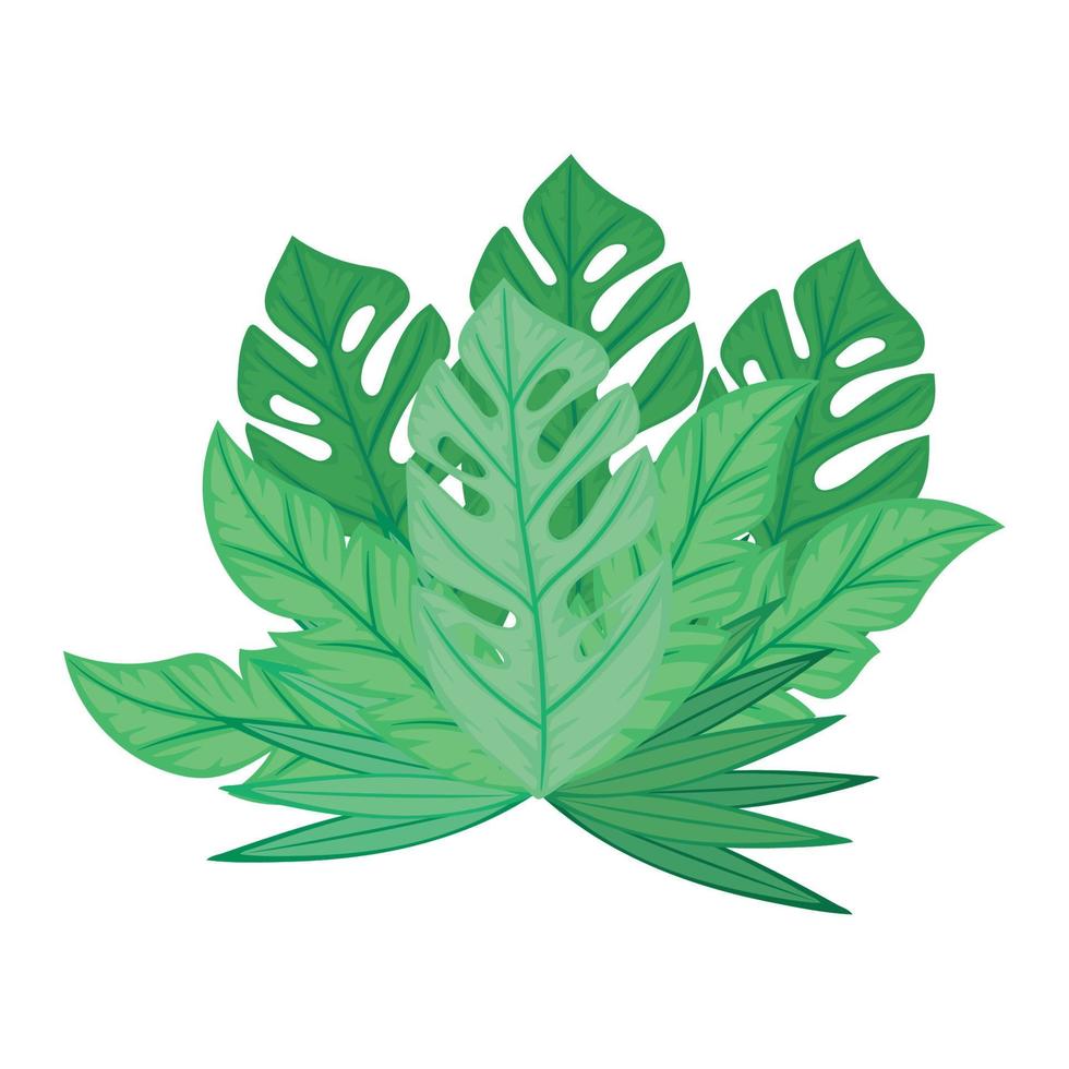tropical bush with leafs vector