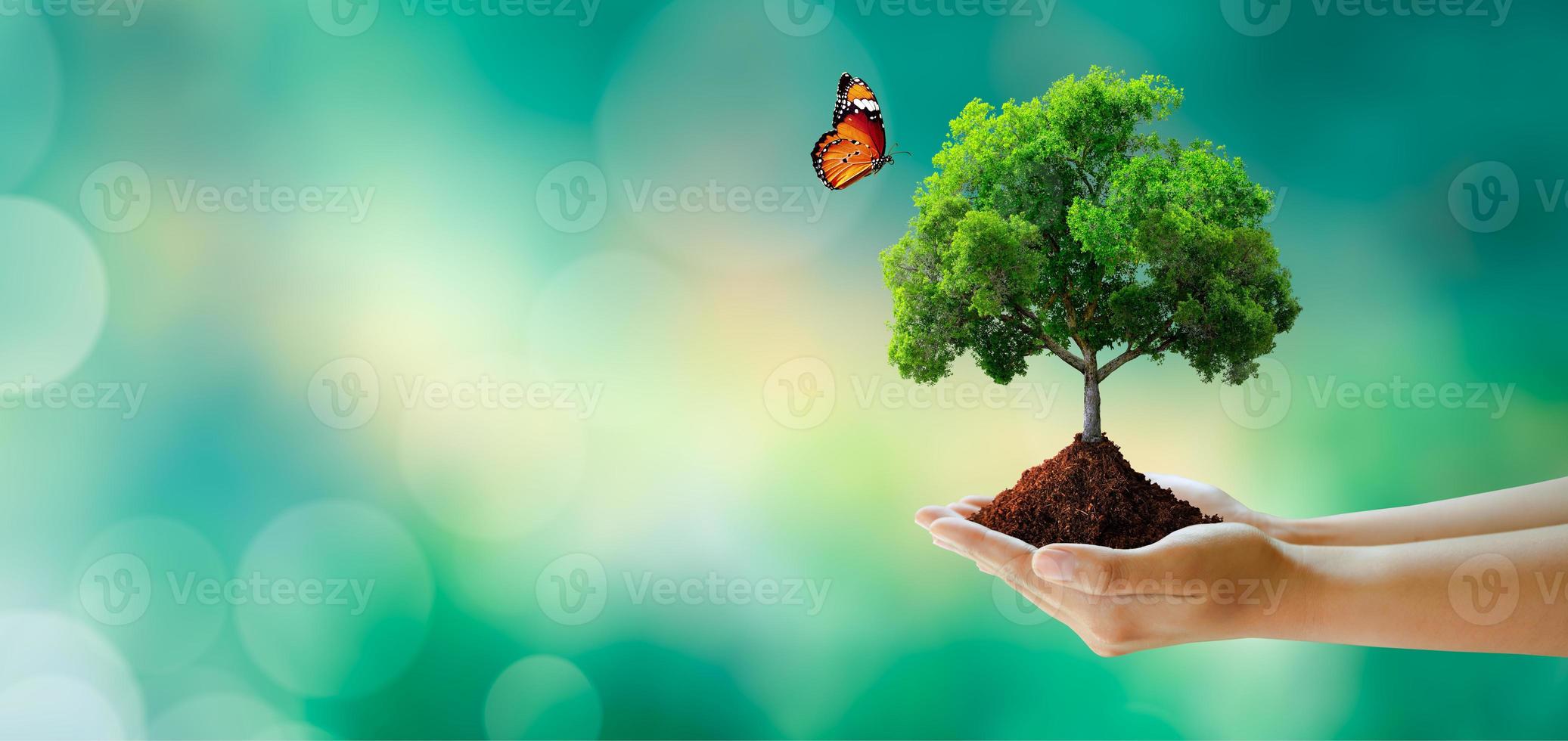 Save clean planet, Save world and environment, Ecology, World Earth Day Concept. photo