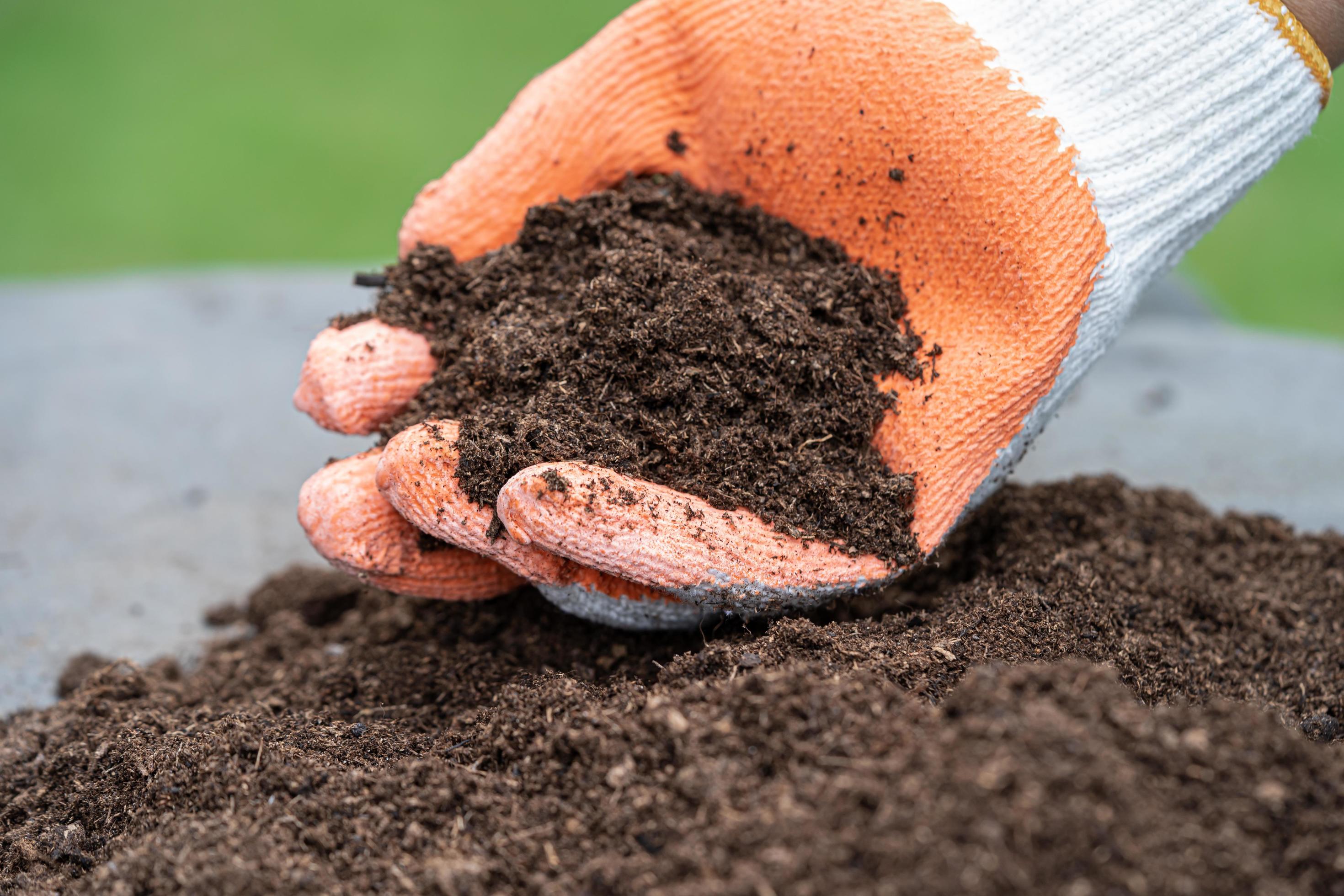 Hand holding peat moss organic matter improve soil for agriculture organic  plant growing, ecology concept. 11253752 Stock Photo at Vecteezy
