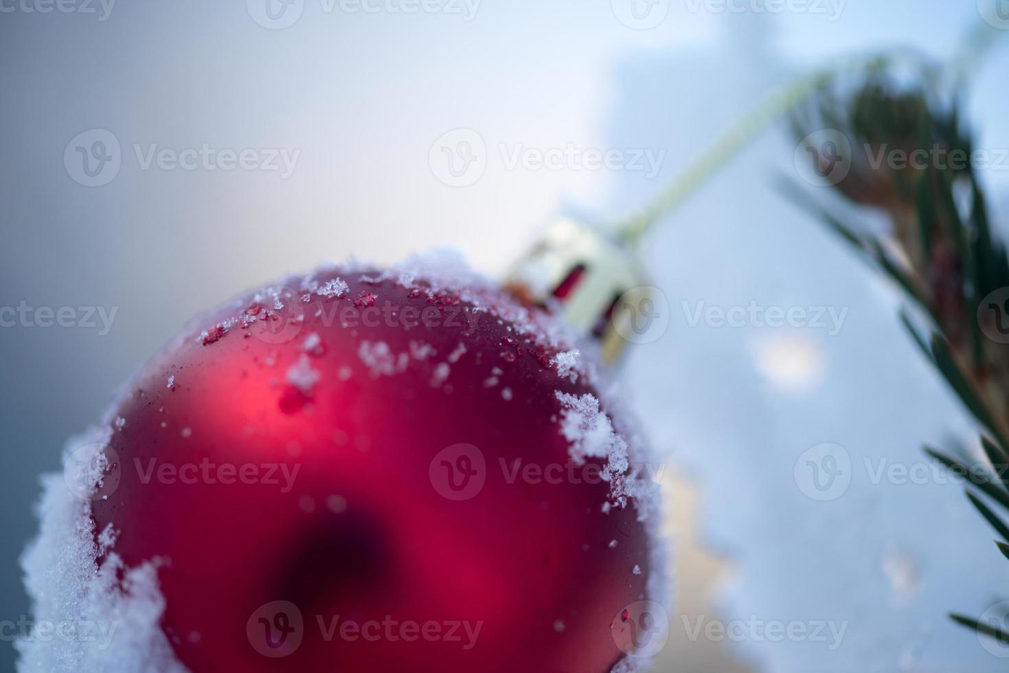christmas balls on pine tree photo