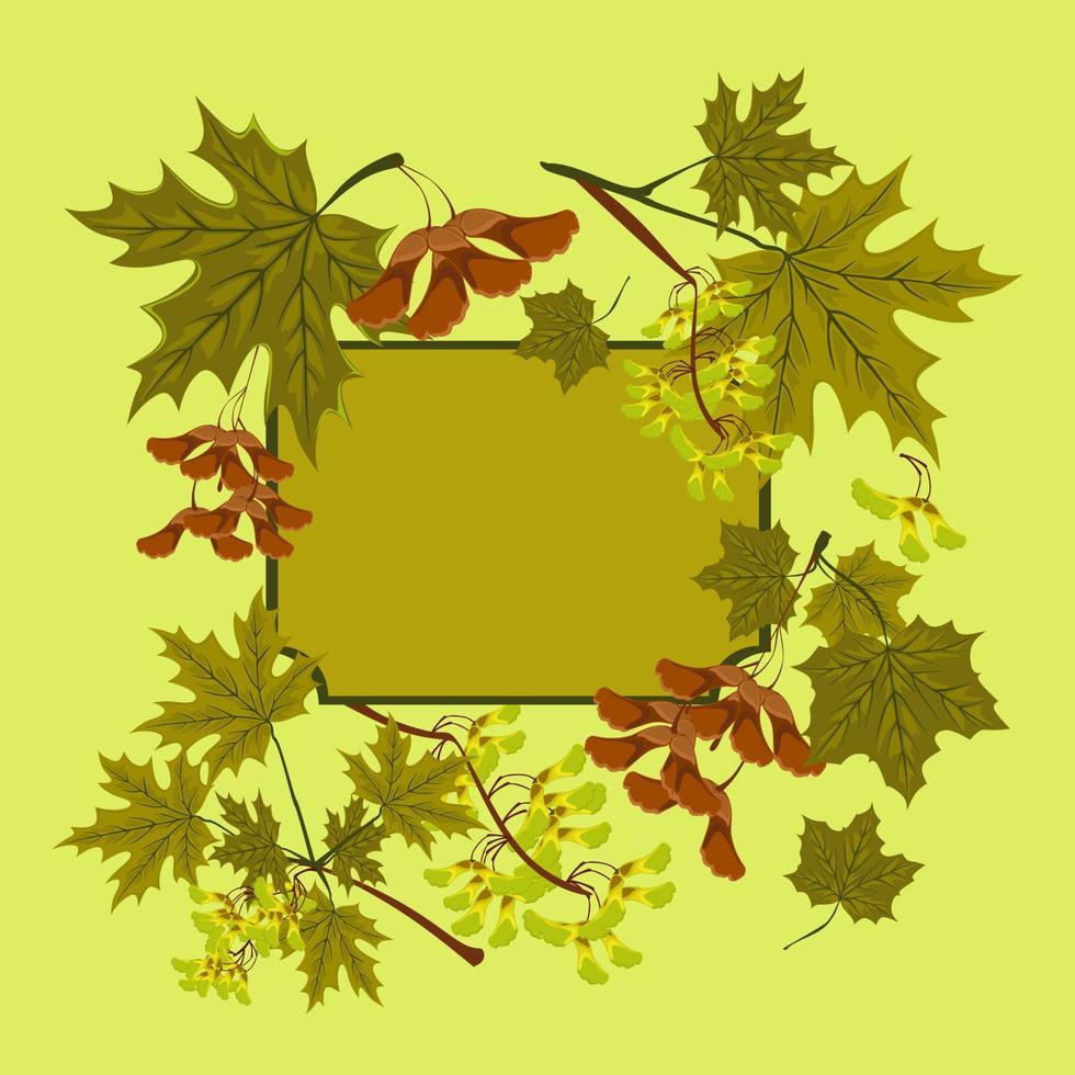 Branch, seeds and leaves of maple. Summer green maple leaves set. Consept of autumn frame or background with maple leaves. vector