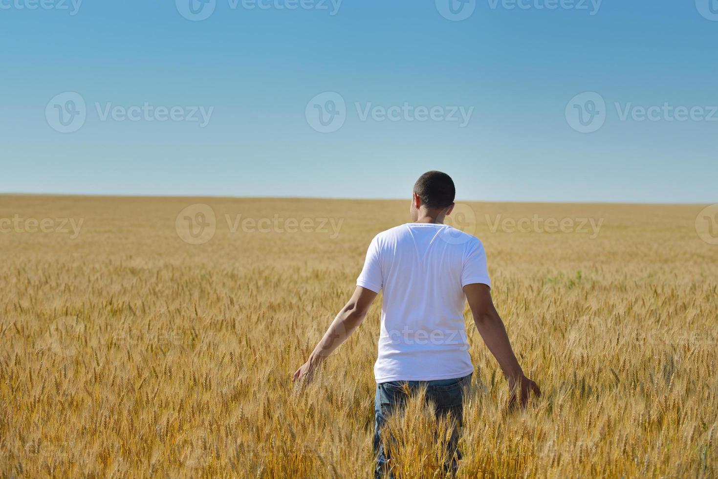 man in wheat field photo