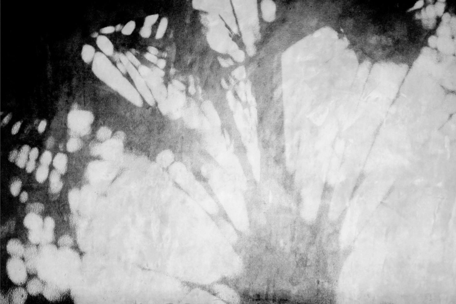 fondo de sombra de hojas de palma naturales sobre textura de pared de hormigón gris para fondo y papel pintado, tono blanco y negro foto