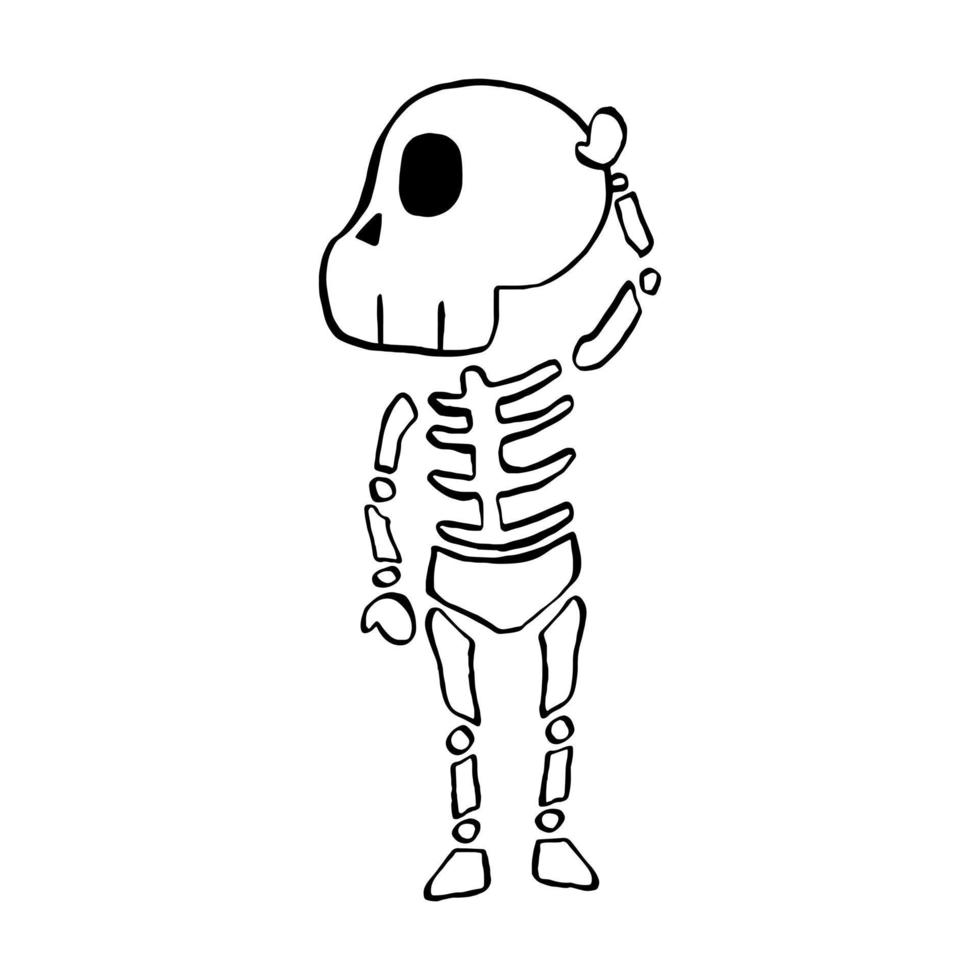 Vector illustration of Halloween Skeleton cartoon line on white background.