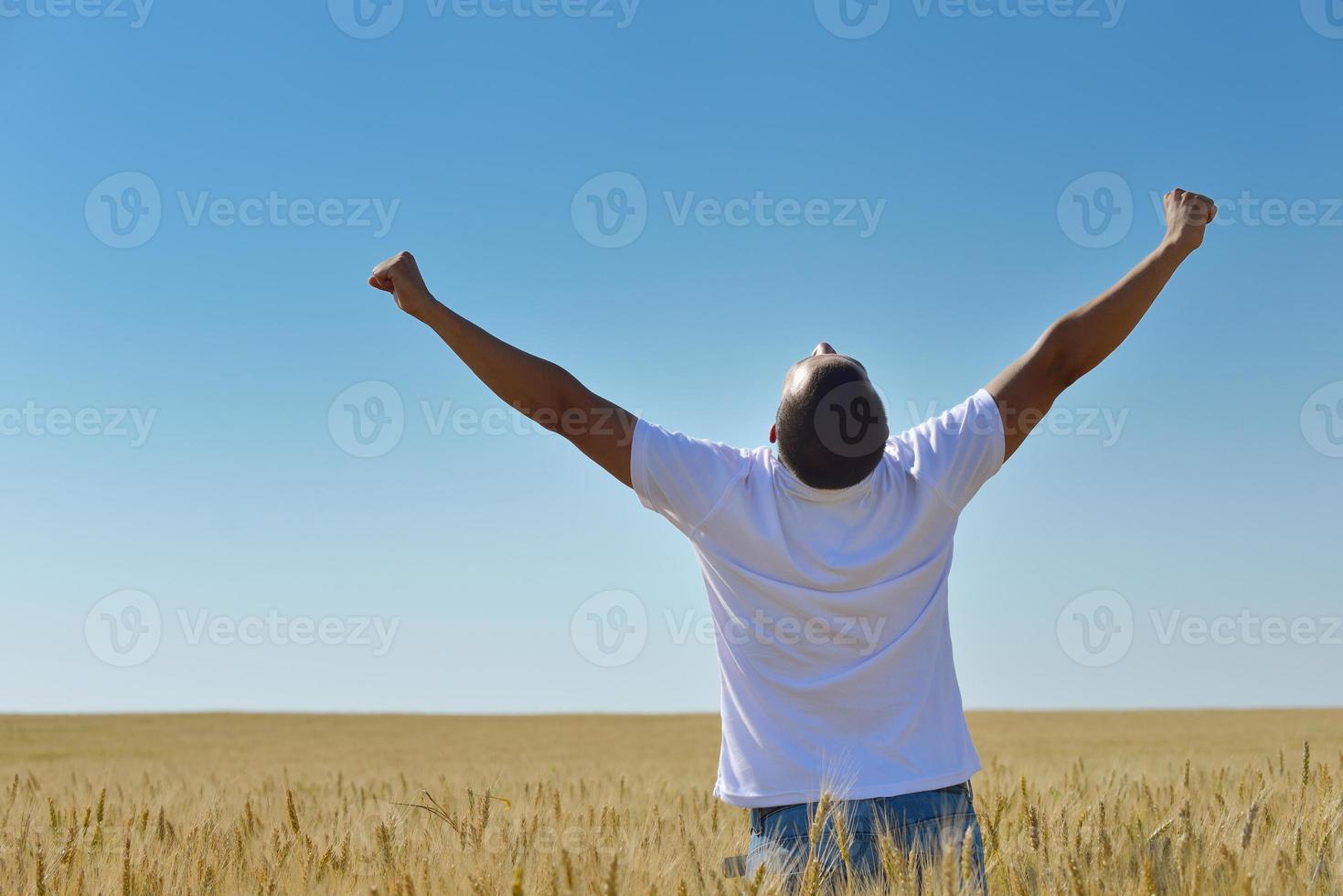 man in wheat field photo