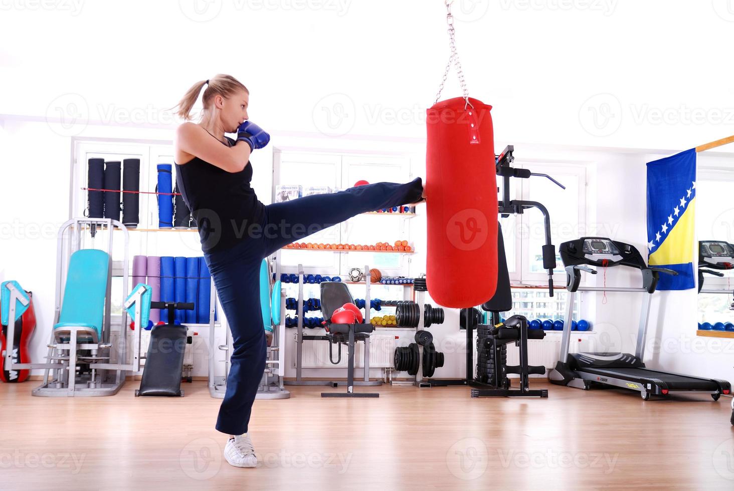 Female boxer view photo
