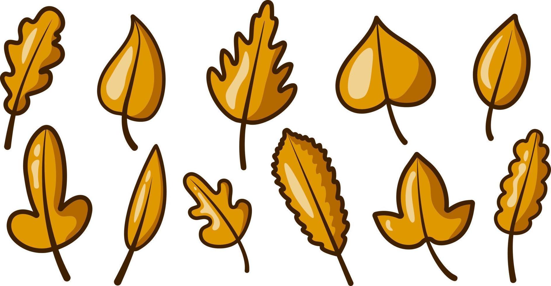 Cute set of autumn leaves. Vector flat cartoon style. Nature object icon. Hello autumn. For the design of banners and postcards for the autumn holidays. Isolated on a white background. Autumn elements