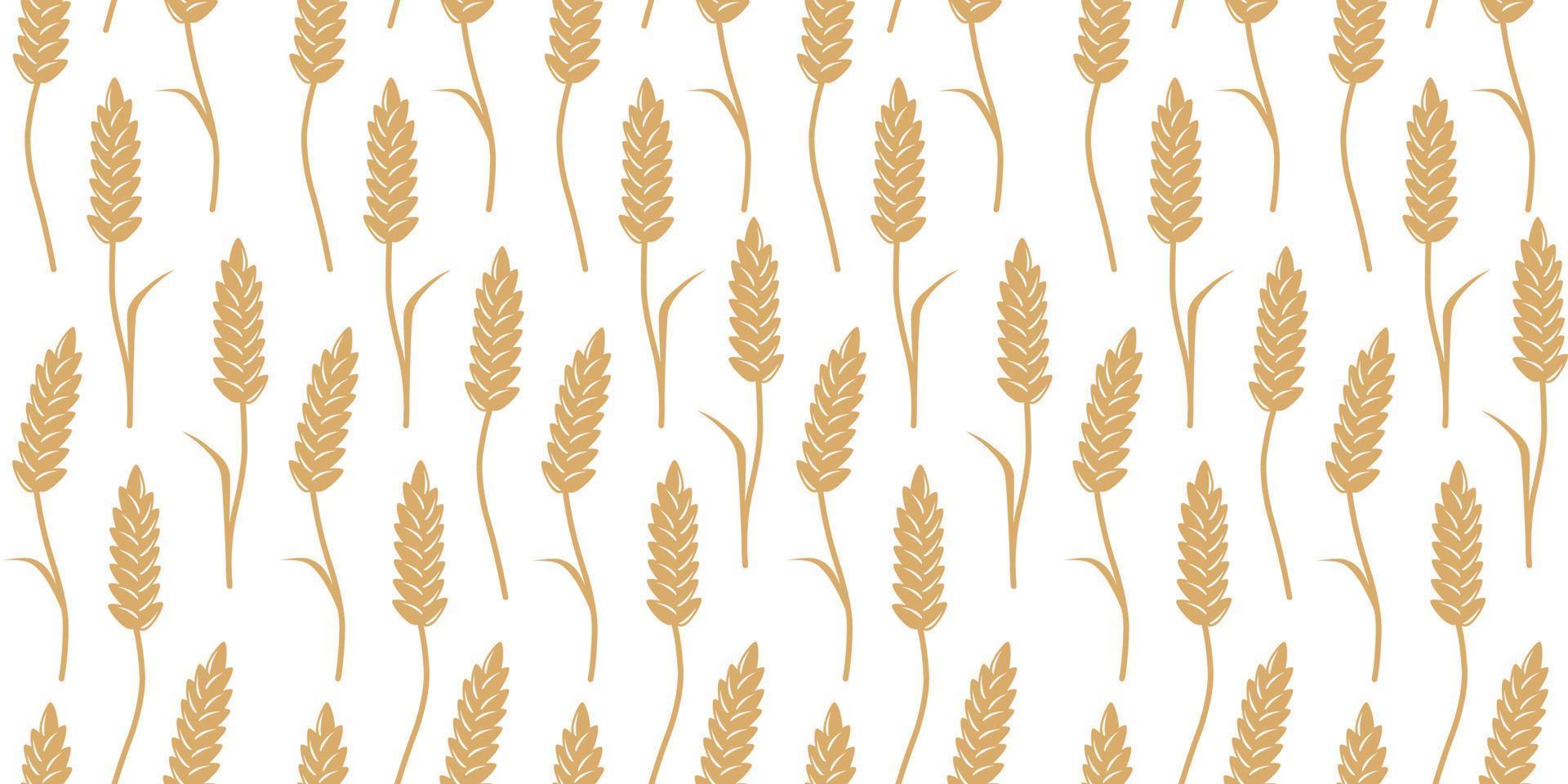 Vector seamless pattern with wheat field.