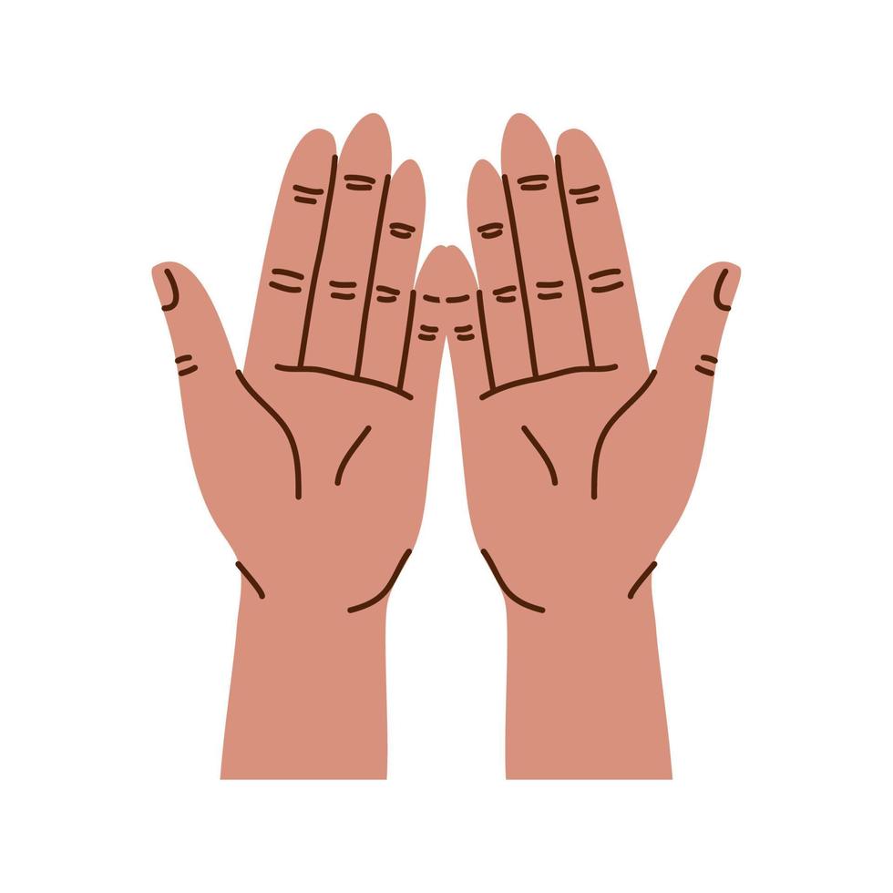 hands human praying vector