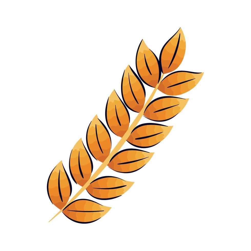 barley spike doodle style vector