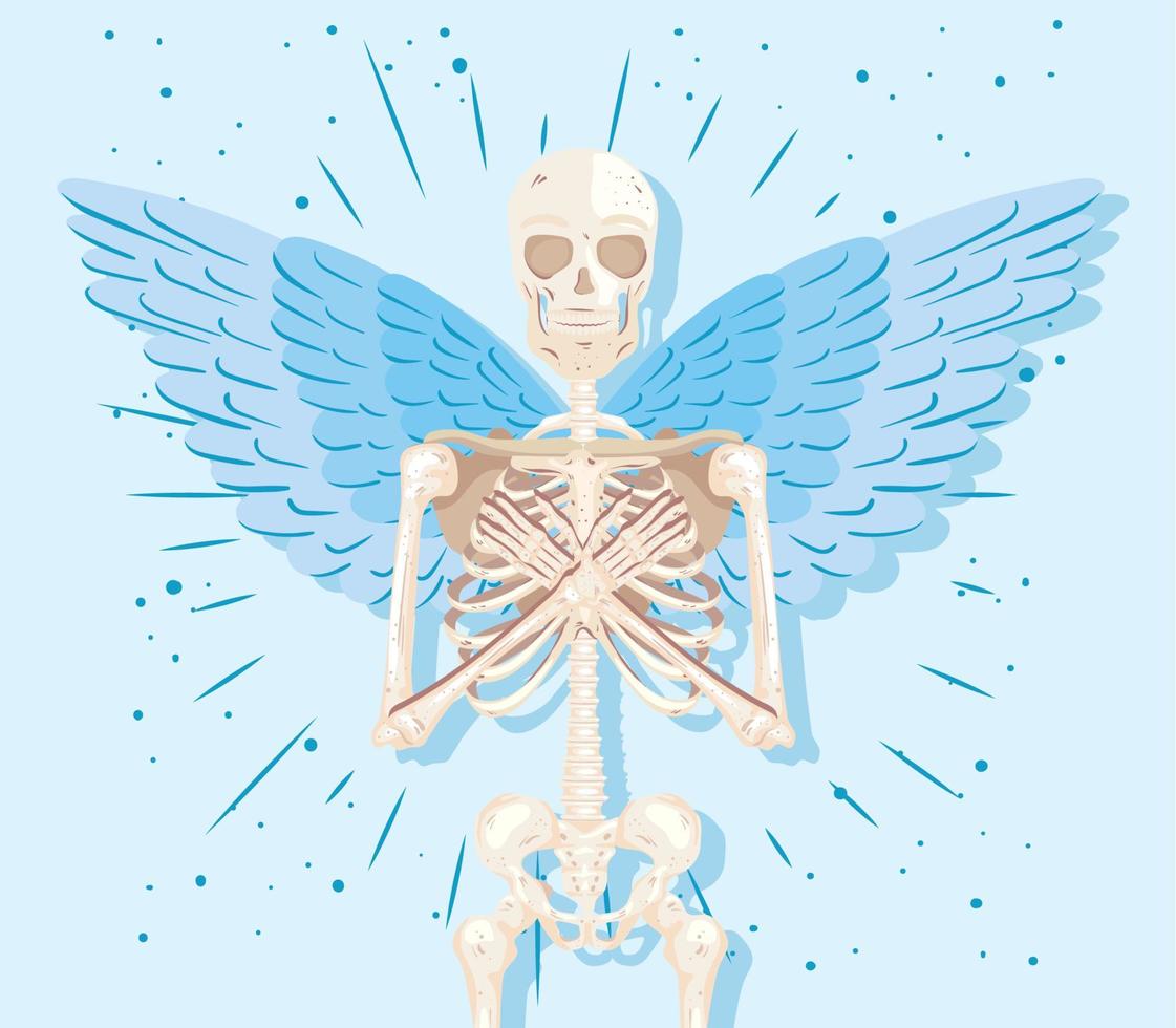 skeleton angel with wings vector