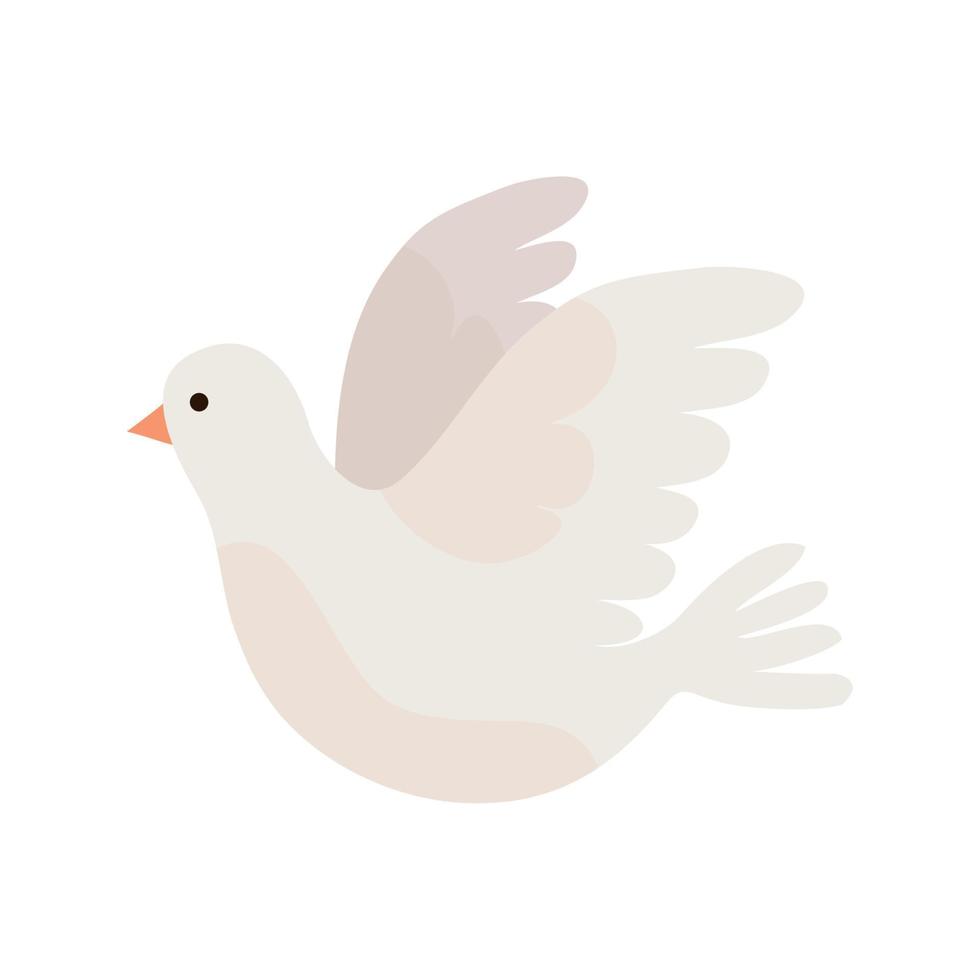 white dove flying vector