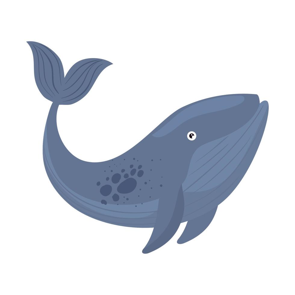 big whale fish swiming vector