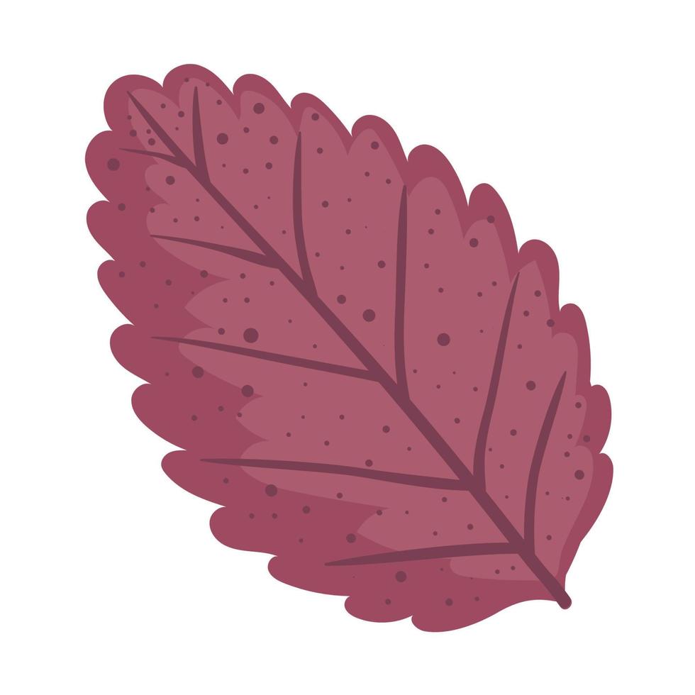 follaje de la planta de hoja de otoño vector