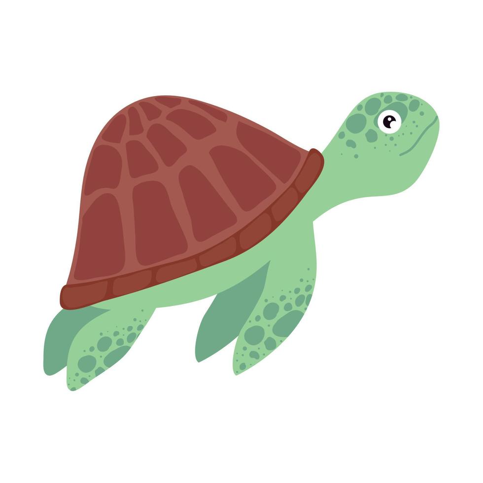 turtle animal swiming vector