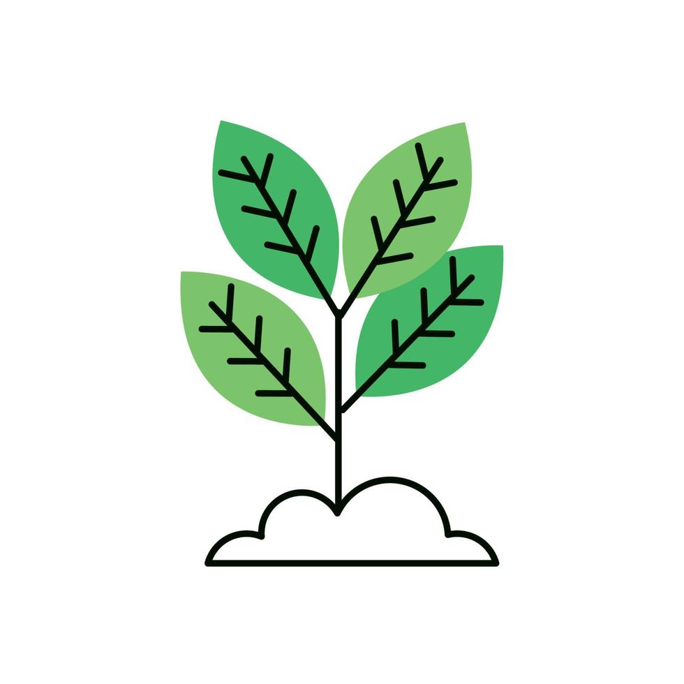 green leafs plant vector
