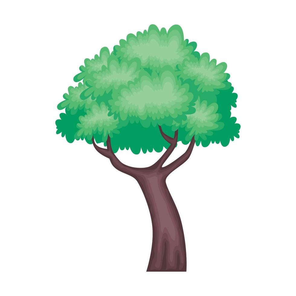 tree plant nature vector