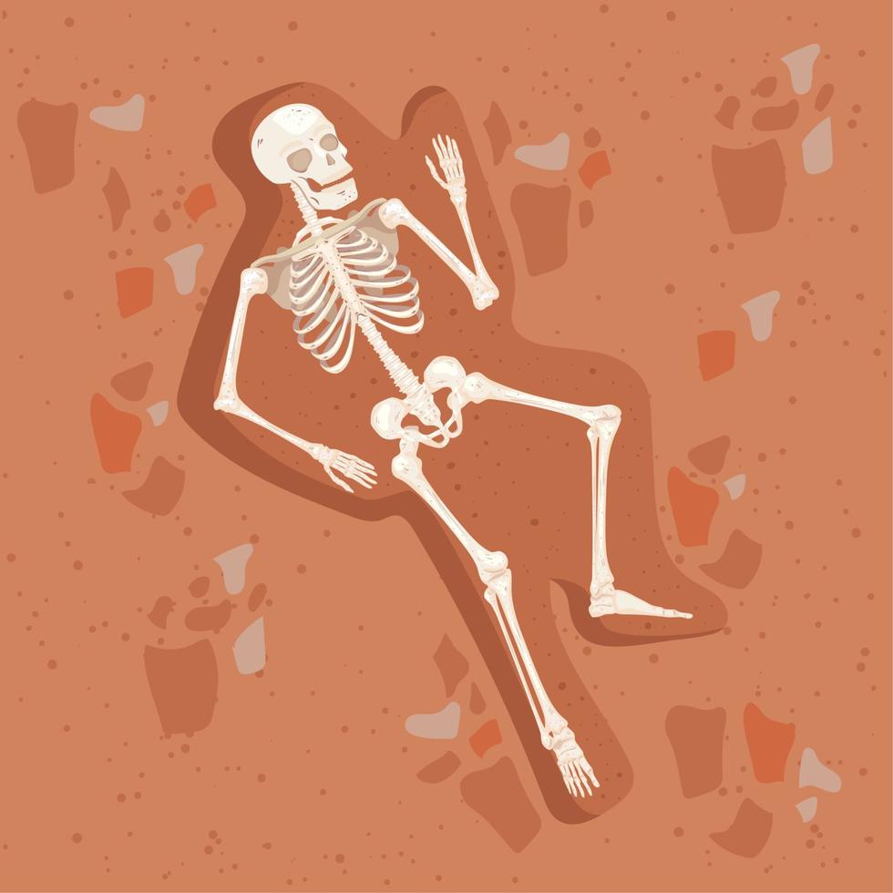 buried skeleton body vector