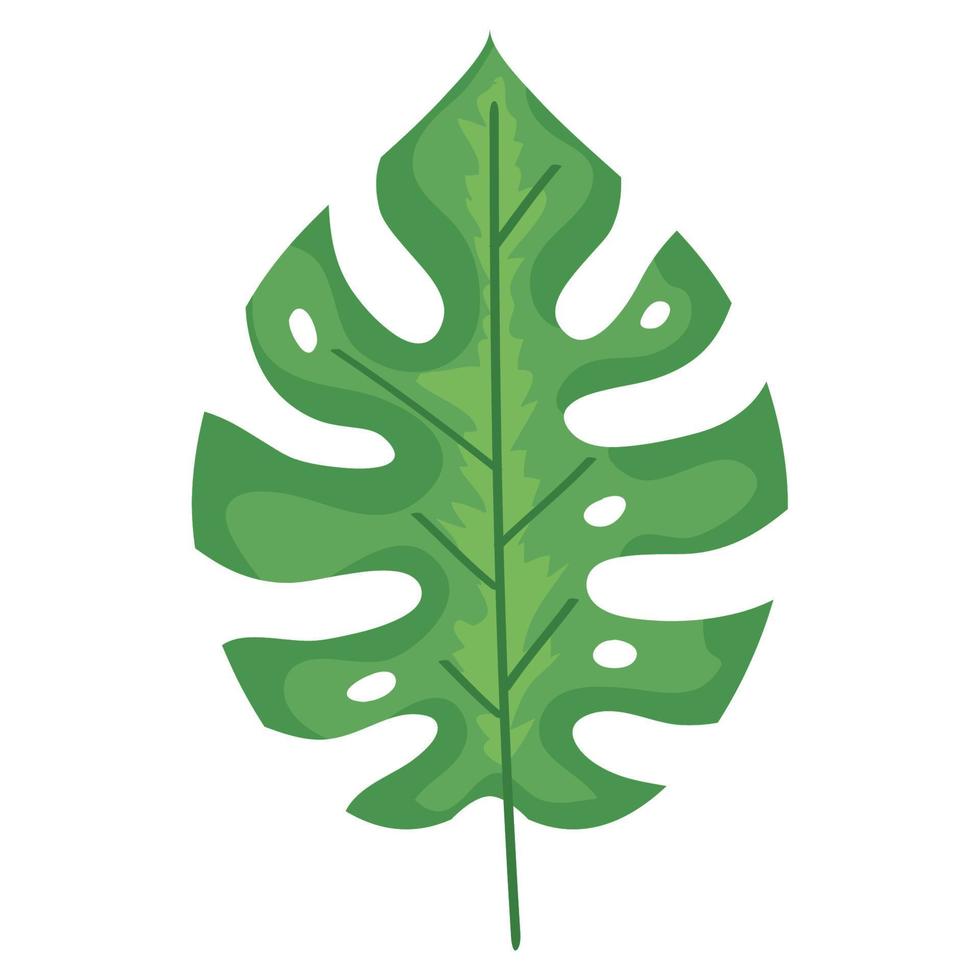 exotic leaf plant vector