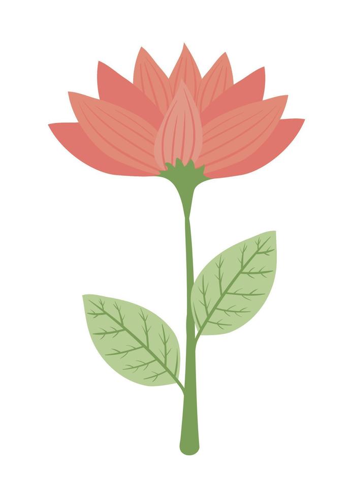 red flower and leafs vector